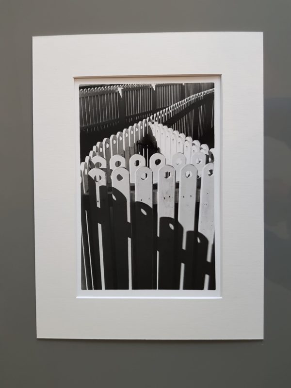 . - Image 2